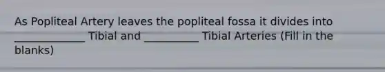 As Popliteal Artery leaves the popliteal fossa it divides into _____________ Tibial and __________ Tibial Arteries (Fill in the blanks)