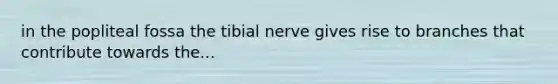 in the popliteal fossa the tibial nerve gives rise to branches that contribute towards the...