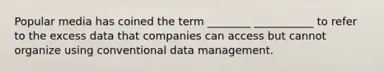 Popular media has coined the term ________ ___________ to refer to the excess data that companies can access but cannot organize using conventional data management.