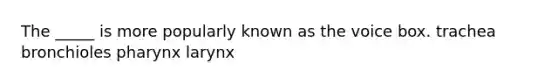 The _____ is more popularly known as the voice box. trachea bronchioles pharynx larynx