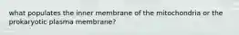 what populates the inner membrane of the mitochondria or the prokaryotic plasma membrane?