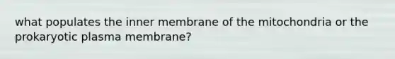 what populates the inner membrane of the mitochondria or the prokaryotic plasma membrane?