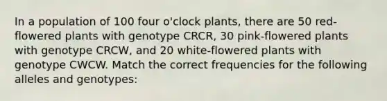 In a population of 100 four o'clock plants, there are 50 red-flowered plants with genotype CRCR, 30 pink-flowered plants with genotype CRCW, and 20 white-flowered plants with genotype CWCW. Match the correct frequencies for the following alleles and genotypes: