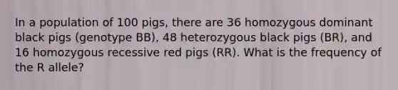 In a population of 100 pigs, there are 36 homozygous dominant black pigs (genotype BB), 48 heterozygous black pigs (BR), and 16 homozygous recessive red pigs (RR). What is the frequency of the R allele?