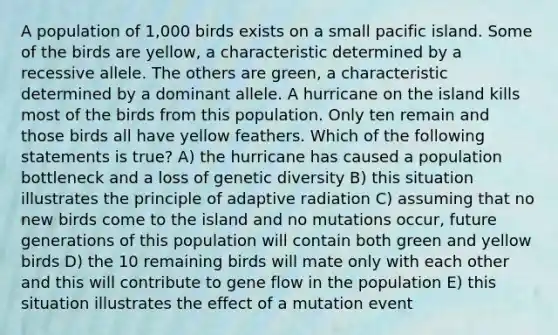 A population of 1,000 birds exists on a small pacific island. Some of the birds are yellow, a characteristic determined by a recessive allele. The others are green, a characteristic determined by a dominant allele. A hurricane on the island kills most of the birds from this population. Only ten remain and those birds all have yellow feathers. Which of the following statements is true? A) the hurricane has caused a population bottleneck and a loss of genetic diversity B) this situation illustrates the principle of adaptive radiation C) assuming that no new birds come to the island and no mutations occur, future generations of this population will contain both green and yellow birds D) the 10 remaining birds will mate only with each other and this will contribute to gene flow in the population E) this situation illustrates the effect of a mutation event