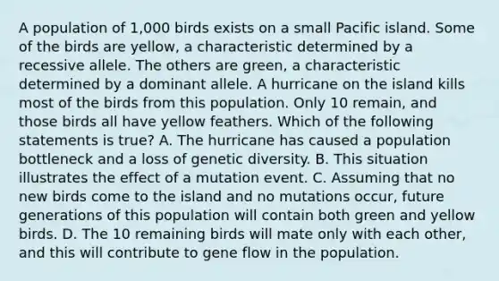 A population of 1,000 birds exists on a small Pacific island. Some of the birds are yellow, a characteristic determined by a recessive allele. The others are green, a characteristic determined by a dominant allele. A hurricane on the island kills most of the birds from this population. Only 10 remain, and those birds all have yellow feathers. Which of the following statements is true? A. The hurricane has caused a population bottleneck and a loss of genetic diversity. B. This situation illustrates the effect of a mutation event. C. Assuming that no new birds come to the island and no mutations occur, future generations of this population will contain both green and yellow birds. D. The 10 remaining birds will mate only with each other, and this will contribute to gene flow in the population.