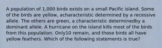 A population of 1,000 birds exists on a small Pacific island. Some of the birds are yellow, acharacteristic determined by a recessive allele. The others are green, a characteristic determinedby a dominant allele. A hurricane on the island kills most of the birds from this population. Only10 remain, and those birds all have yellow feathers. Which of the following statements is true?