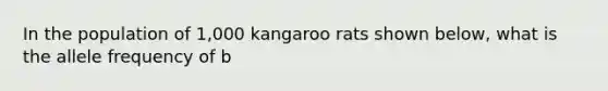 In the population of 1,000 kangaroo rats shown below, what is the allele frequency of b