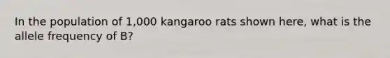 In the population of 1,000 kangaroo rats shown here, what is the allele frequency of B?