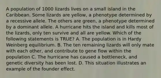 A population of 1000 lizards lives on a small island in the Caribbean. Some lizards are yellow, a phenotype determined by a recessive allele. The others are green, a phenotype determined by a dominant allele. A hurricane hits the island and kills most of the lizards, only ten survive and all are yellow. Which of the following statements is TRUE? A. The population is in Hardy Weinberg equilibrium. B. The ten remaining lizards will only mate with each other, and contribute to gene flow within the population C. The hurricane has caused a bottleneck, and genetic diversity has been lost. D. This situation illustrates an example of the founder effect.