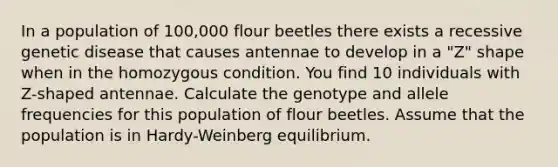 In a population of 100,000 flour beetles there exists a recessive genetic disease that causes antennae to develop in a "Z" shape when in the homozygous condition. You find 10 individuals with Z-shaped antennae. Calculate the genotype and allele frequencies for this population of flour beetles. Assume that the population is in Hardy-Weinberg equilibrium.