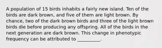 A population of 15 birds inhabits a fairly new island. Ten of the birds are dark brown, and five of them are light brown. By chance, two of the dark brown birds and three of the light brown birds die before producing any offspring. All of the birds in the next generation are dark brown. This change in phenotypic frequency can be attributed to __________.