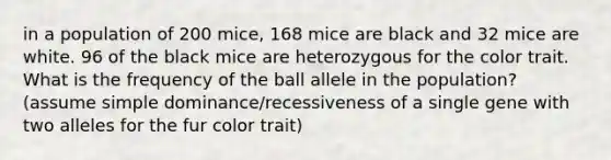 in a population of 200 mice, 168 mice are black and 32 mice are white. 96 of the black mice are heterozygous for the color trait. What is the frequency of the ball allele in the population? (assume simple dominance/recessiveness of a single gene with two alleles for the fur color trait)