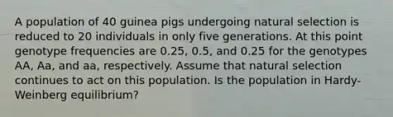 A population of 40 guinea pigs undergoing natural selection is reduced to 20 individuals in only five generations. At this point genotype frequencies are 0.25, 0.5, and 0.25 for the genotypes AA, Aa, and aa, respectively. Assume that natural selection continues to act on this population. Is the population in Hardy-Weinberg equilibrium?