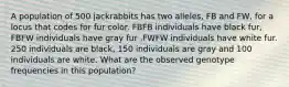 A population of 500 jackrabbits has two alleles, FB and FW, for a locus that codes for fur color. FBFB individuals have black fur, FBFW individuals have gray fur ,FWFW individuals have white fur. 250 individuals are black, 150 individuals are gray and 100 individuals are white. What are the observed genotype frequencies in this population?