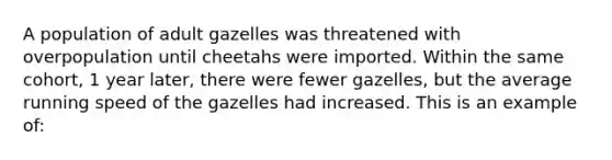 A population of adult gazelles was threatened with overpopulation until cheetahs were imported. Within the same cohort, 1 year later, there were fewer gazelles, but the average running speed of the gazelles had increased. This is an example of: