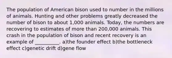 The population of American bison used to number in the millions of animals. Hunting and other problems greatly decreased the number of bison to about 1,000 animals. Today, the numbers are recovering to estimates of more than 200,000 animals. This crash in the population of bison and recent recovery is an example of __________. a)the founder effect b)the bottleneck effect c)genetic drift d)gene flow