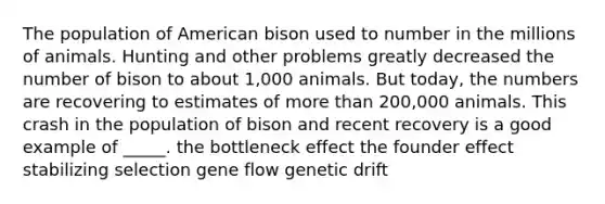 The population of American bison used to number in the millions of animals. Hunting and other problems greatly decreased the number of bison to about 1,000 animals. But today, the numbers are recovering to estimates of more than 200,000 animals. This crash in the population of bison and recent recovery is a good example of _____. the bottleneck effect the founder effect stabilizing selection gene flow genetic drift