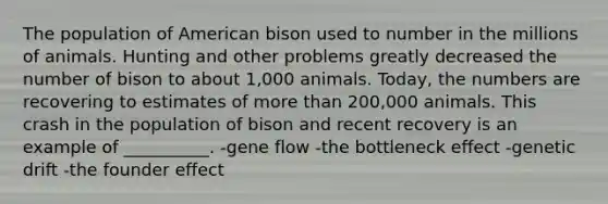 The population of American bison used to number in the millions of animals. Hunting and other problems greatly decreased the number of bison to about 1,000 animals. Today, the numbers are recovering to estimates of more than 200,000 animals. This crash in the population of bison and recent recovery is an example of __________. -gene flow -the bottleneck effect -genetic drift -the founder effect