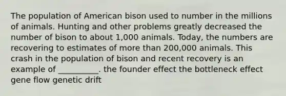 The population of American bison used to number in the millions of animals. Hunting and other problems greatly decreased the number of bison to about 1,000 animals. Today, the numbers are recovering to estimates of more than 200,000 animals. This crash in the population of bison and recent recovery is an example of __________. the founder effect the bottleneck effect gene flow genetic drift