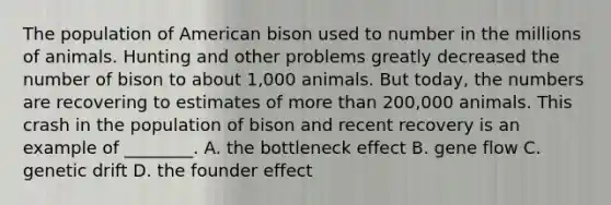 The population of American bison used to number in the millions of animals. Hunting and other problems greatly decreased the number of bison to about 1,000 animals. But today, the numbers are recovering to estimates of more than 200,000 animals. This crash in the population of bison and recent recovery is an example of ________. A. the bottleneck effect B. gene flow C. genetic drift D. the founder effect