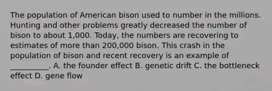 The population of American bison used to number in the millions. Hunting and other problems greatly decreased the number of bison to about 1,000. Today, the numbers are recovering to estimates of more than 200,000 bison. This crash in the population of bison and recent recovery is an example of __________. A. the founder effect B. genetic drift C. the bottleneck effect D. gene flow