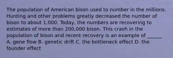 The population of American bison used to number in the millions. Hunting and other problems greatly decreased the number of bison to about 1,000. Today, the numbers are recovering to estimates of more than 200,000 bison. This crash in the population of bison and recent recovery is an example of ______ A. gene flow B. genetic drift C. the bottleneck effect D. the founder effect