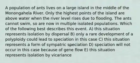 A population of ants lives on a large island in the middle of the Monongahela River. Only the highest points of the island are above water when the river level rises due to flooding. The ants cannot swim, so are now in multiple isolated populations. Which of the following best describes this event. A) this situation represents isolation by dispersal B) only a rare development of a polyploidy could lead to speciation in this case C) this situation represents a form of sympatric speciation D) speciation will not occur in this case because of gene flow E) this situation represents isolation by vicariance