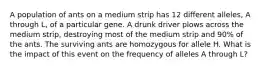 A population of ants on a medium strip has 12 different alleles, A through L, of a particular gene. A drunk driver plows across the medium strip, destroying most of the medium strip and 90% of the ants. The surviving ants are homozygous for allele H. What is the impact of this event on the frequency of alleles A through L?