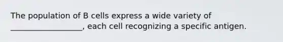 The population of B cells express a wide variety of __________________, each cell recognizing a specific antigen.
