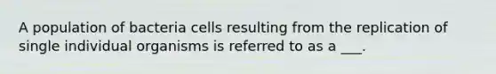 A population of bacteria cells resulting from the replication of single individual organisms is referred to as a ___.