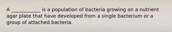 A ____________ is a population of bacteria growing on a nutrient agar plate that have developed from a single bacterium or a group of attached bacteria.