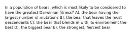 In a population of bears, which is most likely to be considered to have the greatest Darwinian fitness? A). the bear having the largest number of mutations B). the bear that leaves the most descendants C). the bear that blends in with its environment the best D). the biggest bear E). the strongest, fiercest bear