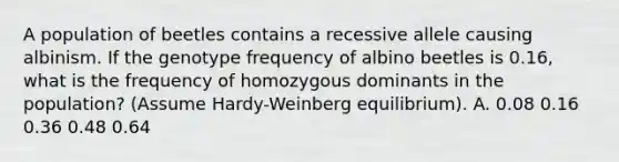 A population of beetles contains a recessive allele causing albinism. If the genotype frequency of albino beetles is 0.16, what is the frequency of homozygous dominants in the population? (Assume Hardy-Weinberg equilibrium). A. 0.08 0.16 0.36 0.48 0.64