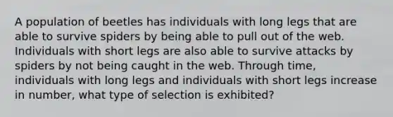 A population of beetles has individuals with long legs that are able to survive spiders by being able to pull out of the web. Individuals with short legs are also able to survive attacks by spiders by not being caught in the web. Through time, individuals with long legs and individuals with short legs increase in number, what type of selection is exhibited?