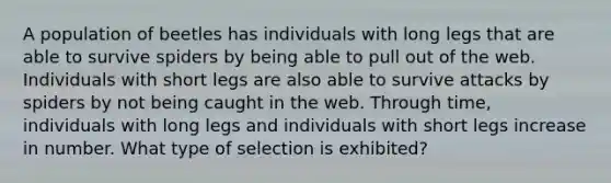 A population of beetles has individuals with long legs that are able to survive spiders by being able to pull out of the web. Individuals with short legs are also able to survive attacks by spiders by not being caught in the web. Through time, individuals with long legs and individuals with short legs increase in number. What type of selection is exhibited?