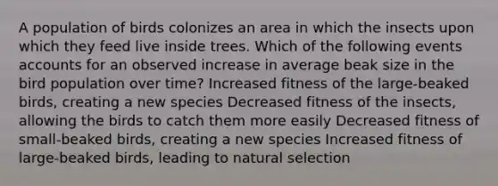 A population of birds colonizes an area in which the insects upon which they feed live inside trees. Which of the following events accounts for an observed increase in average beak size in the bird population over time? Increased fitness of the large-beaked birds, creating a new species Decreased fitness of the insects, allowing the birds to catch them more easily Decreased fitness of small-beaked birds, creating a new species Increased fitness of large-beaked birds, leading to natural selection