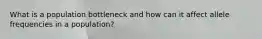 What is a population bottleneck and how can it affect allele frequencies in a population?