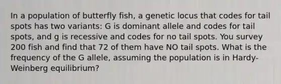 In a population of butterfly fish, a genetic locus that codes for tail spots has two variants: G is dominant allele and codes for tail spots, and g is recessive and codes for no tail spots. You survey 200 fish and find that 72 of them have NO tail spots. What is the frequency of the G allele, assuming the population is in Hardy-Weinberg equilibrium?