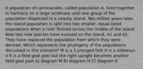 A population of caminacules, called population A, lived together in harmony on a large landmass until one group of the population dispersed to a nearby island. Two million years later, the island population is split into two smaller, equal-sized populations when a river formed across the middle of the island. Now two new species have evolved on the island, A1 and A2. They have replaced the population from which they were derived. Which represents the phylogeny of the populations discussed in this scenario? M is a 3 pronged fork H is a sideways V K is a field goal post but the right upright becomes another field goal post A) diagram M B) diagram H C) diagram K