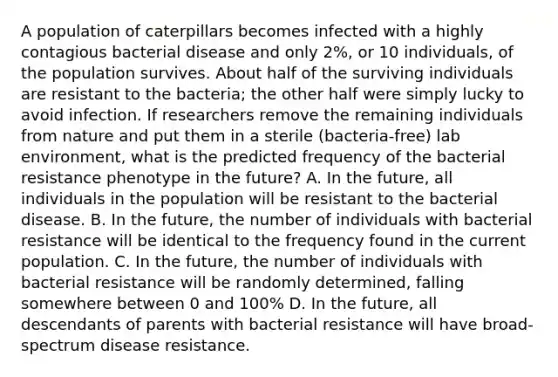 A population of caterpillars becomes infected with a highly contagious bacterial disease and only 2%, or 10 individuals, of the population survives. About half of the surviving individuals are resistant to the bacteria; the other half were simply lucky to avoid infection. If researchers remove the remaining individuals from nature and put them in a sterile (bacteria-free) lab environment, what is the predicted frequency of the bacterial resistance phenotype in the future? A. In the future, all individuals in the population will be resistant to the bacterial disease. B. In the future, the number of individuals with bacterial resistance will be identical to the frequency found in the current population. C. In the future, the number of individuals with bacterial resistance will be randomly determined, falling somewhere between 0 and 100% D. In the future, all descendants of parents with bacterial resistance will have broad-spectrum disease resistance.