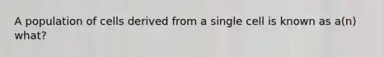 A population of cells derived from a single cell is known as a(n) what?