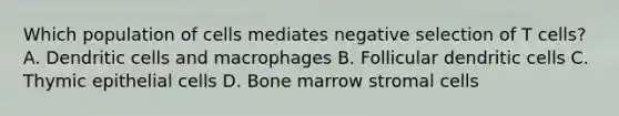 Which population of cells mediates negative selection of T cells? A. Dendritic cells and macrophages B. Follicular dendritic cells C. Thymic epithelial cells D. Bone marrow stromal cells