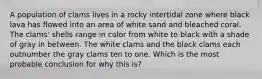 A population of clams lives in a rocky intertidal zone where black lava has flowed into an area of white sand and bleached coral. The clams' shells range in color from white to black with a shade of gray in between. The white clams and the black clams each outnumber the gray clams ten to one. Which is the most probable conclusion for why this is?