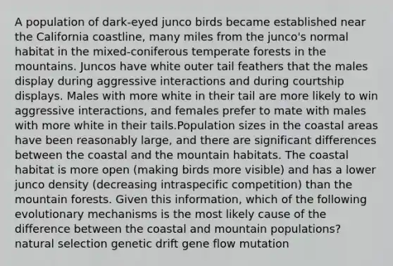 A population of dark-eyed junco birds became established near the California coastline, many miles from the junco's normal habitat in the mixed-coniferous temperate forests in the mountains. Juncos have white outer tail feathers that the males display during aggressive interactions and during courtship displays. Males with more white in their tail are more likely to win aggressive interactions, and females prefer to mate with males with more white in their tails.Population sizes in the coastal areas have been reasonably large, and there are significant differences between the coastal and the mountain habitats. The coastal habitat is more open (making birds more visible) and has a lower junco density (decreasing intraspecific competition) than the mountain forests. Given this information, which of the following evolutionary mechanisms is the most likely cause of the difference between the coastal and mountain populations? natural selection genetic drift gene flow mutation