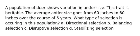 A population of deer shows variation in antler size. This trait is heritable. The average antler size goes from 60 inches to 80 inches over the course of 5 years. What type of selection is occuring in this population? a. Directional selection b. Balancing selection c. Disruptive selection d. Stabilizing selection