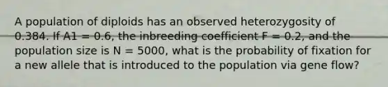 A population of diploids has an observed heterozygosity of 0.384. If A1 = 0.6, the inbreeding coefficient F = 0.2, and the population size is N = 5000, what is the probability of fixation for a new allele that is introduced to the population via gene flow?