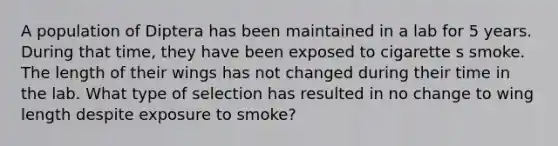 A population of Diptera has been maintained in a lab for 5 years. During that time, they have been exposed to cigarette s smoke. The length of their wings has not changed during their time in the lab. What type of selection has resulted in no change to wing length despite exposure to smoke?