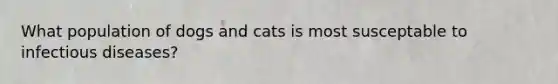 What population of dogs and cats is most susceptable to infectious diseases?