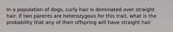 In a population of dogs, curly hair is dominated over straight hair. If two parents are heterozygous for this trait, what is the probability that any of their offspring will have straight hair